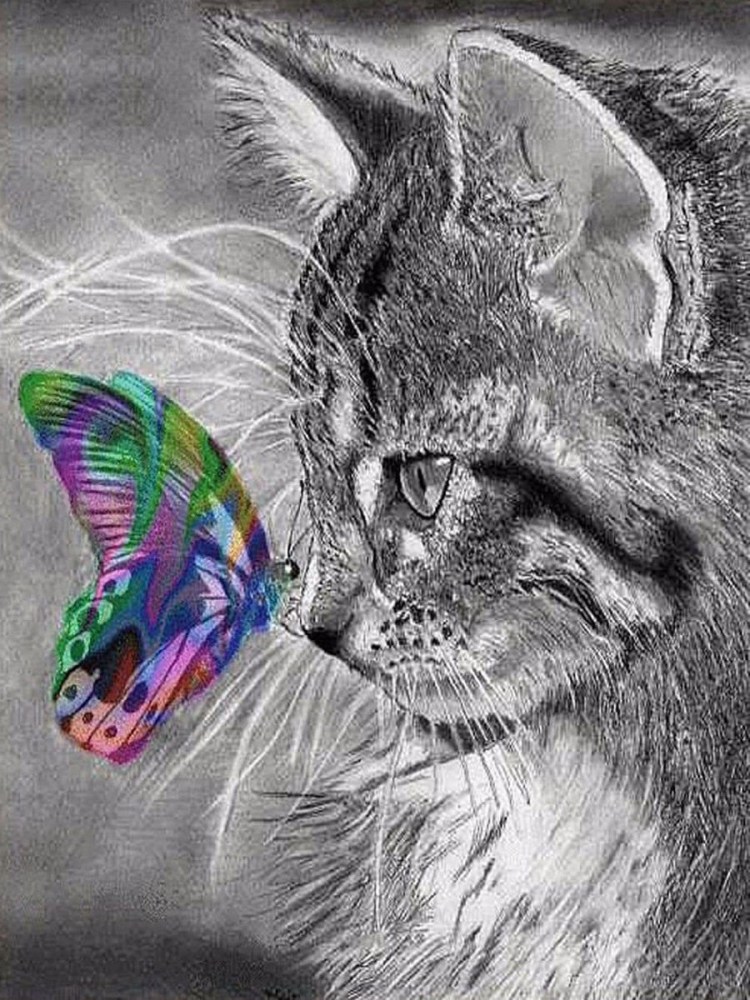 Кошка с бабочками