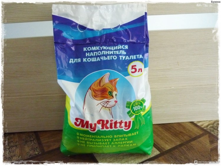 Смешные коты и первый снег