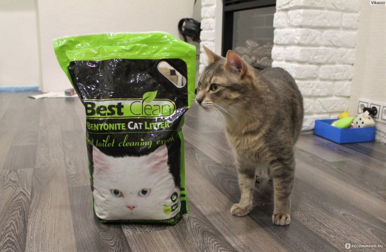 Мататаби для кошек Comet