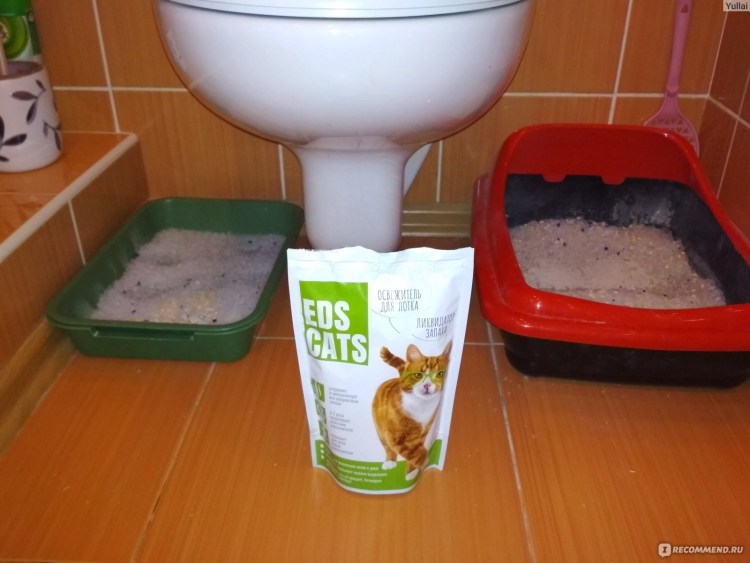 Водоросли для собак для зубов