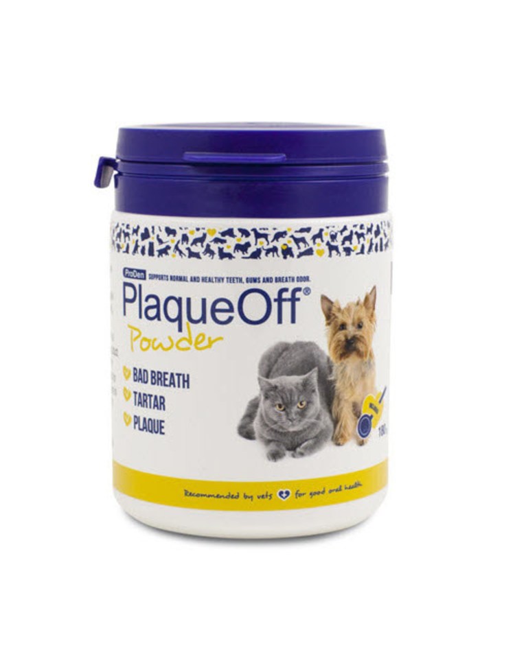 Кот в снегу Мем