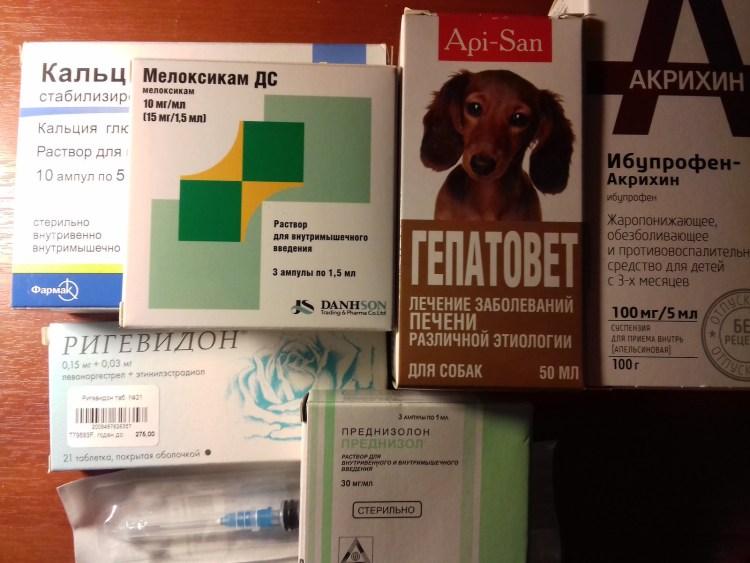 Короновирусный энтерит собак