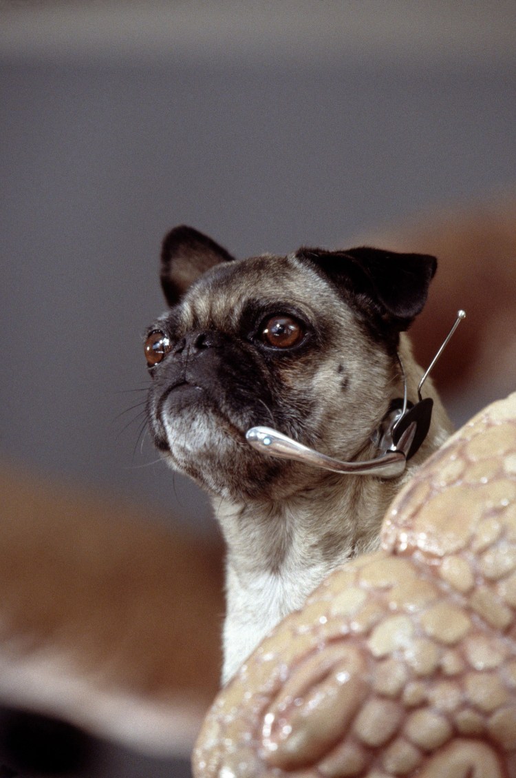 Кресло люди в черном