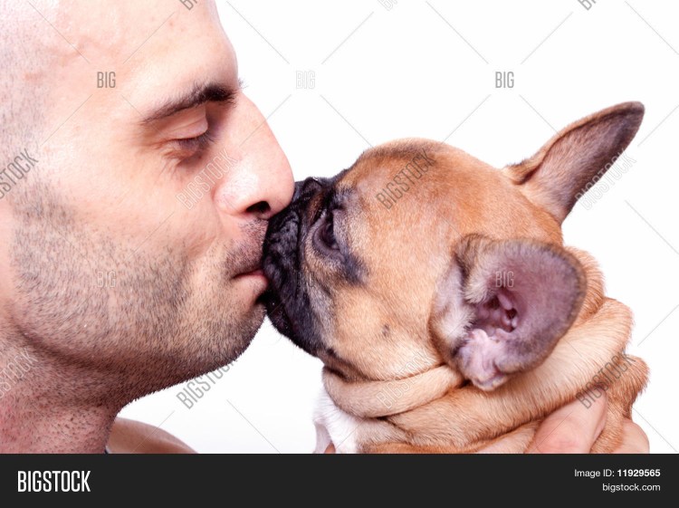 Любвеобильные животные