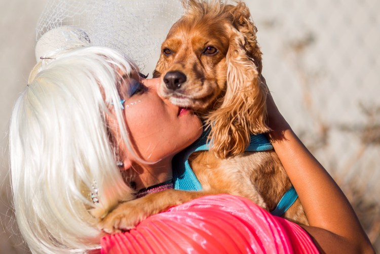 Собака облизывает человека