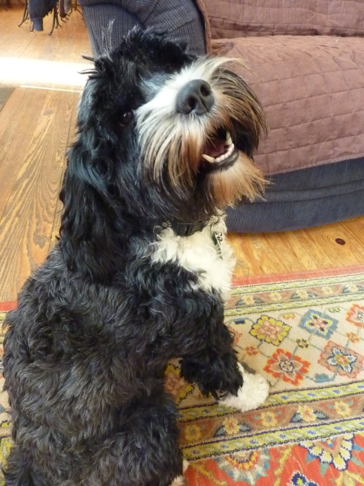 Фото тебецкого турерана фоне