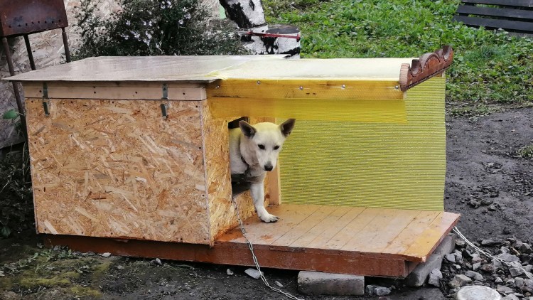 Будка для собаки