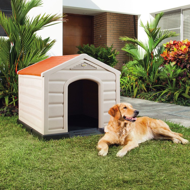 Собачья конура будка