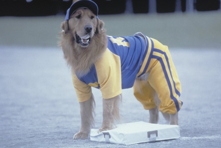 Король воздуха 1997