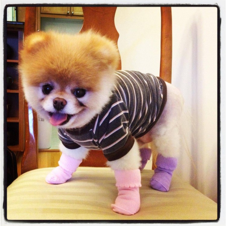 Кевин Зегерс Король воздуха