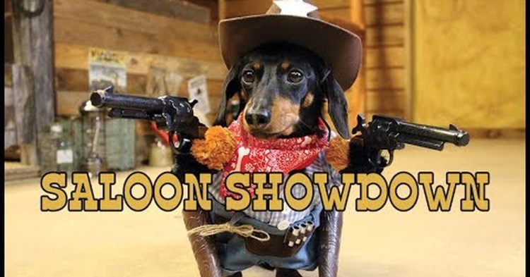 Собака с автоматом