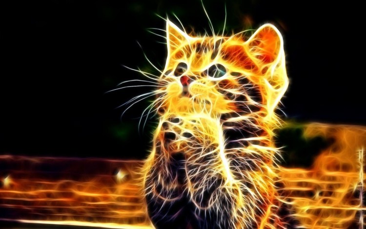 Неоновый кот