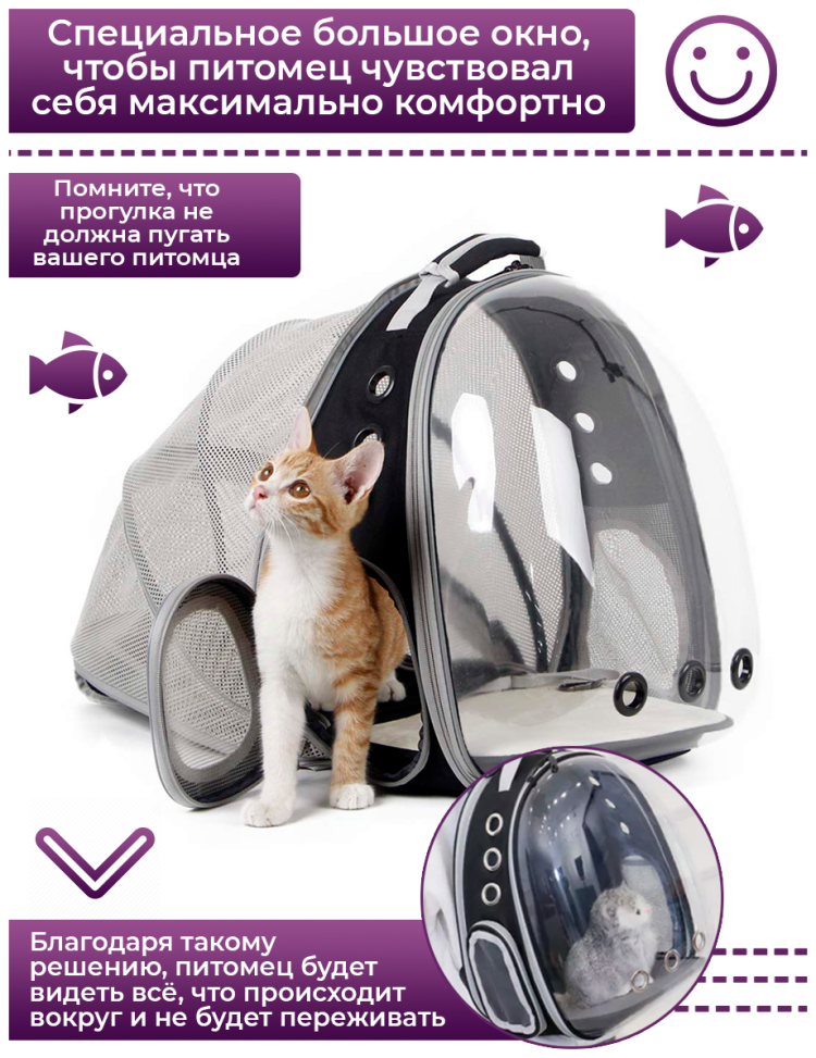 Держатель для кота юмор