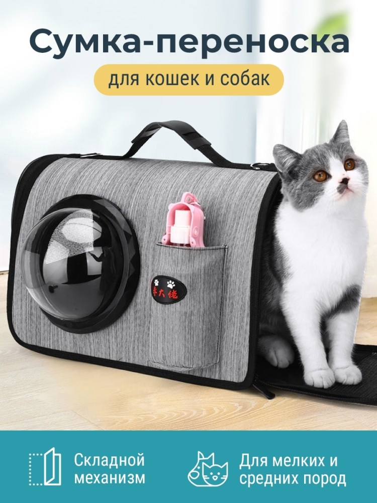 Смешная переноска для кошки
