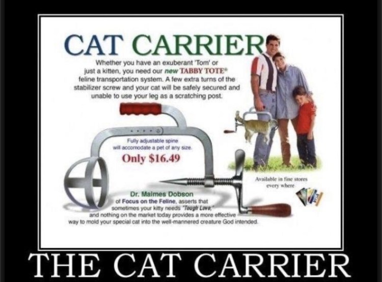 Переноска для кошек прикол