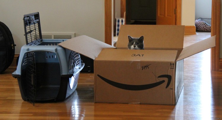 Переноски для котов