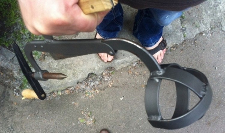 Переноска для кота демотиватор