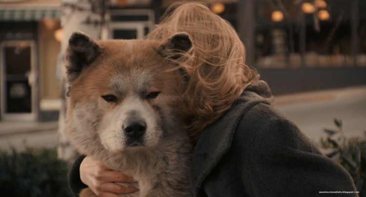 Луис Пратс Хатико