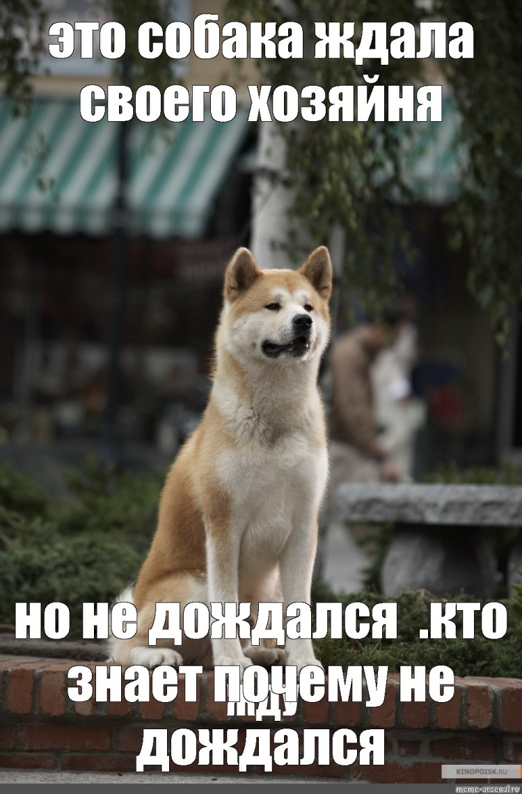 Акита-ину фильм Хатико