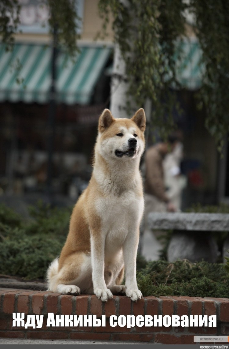 Кемеровский Хатико