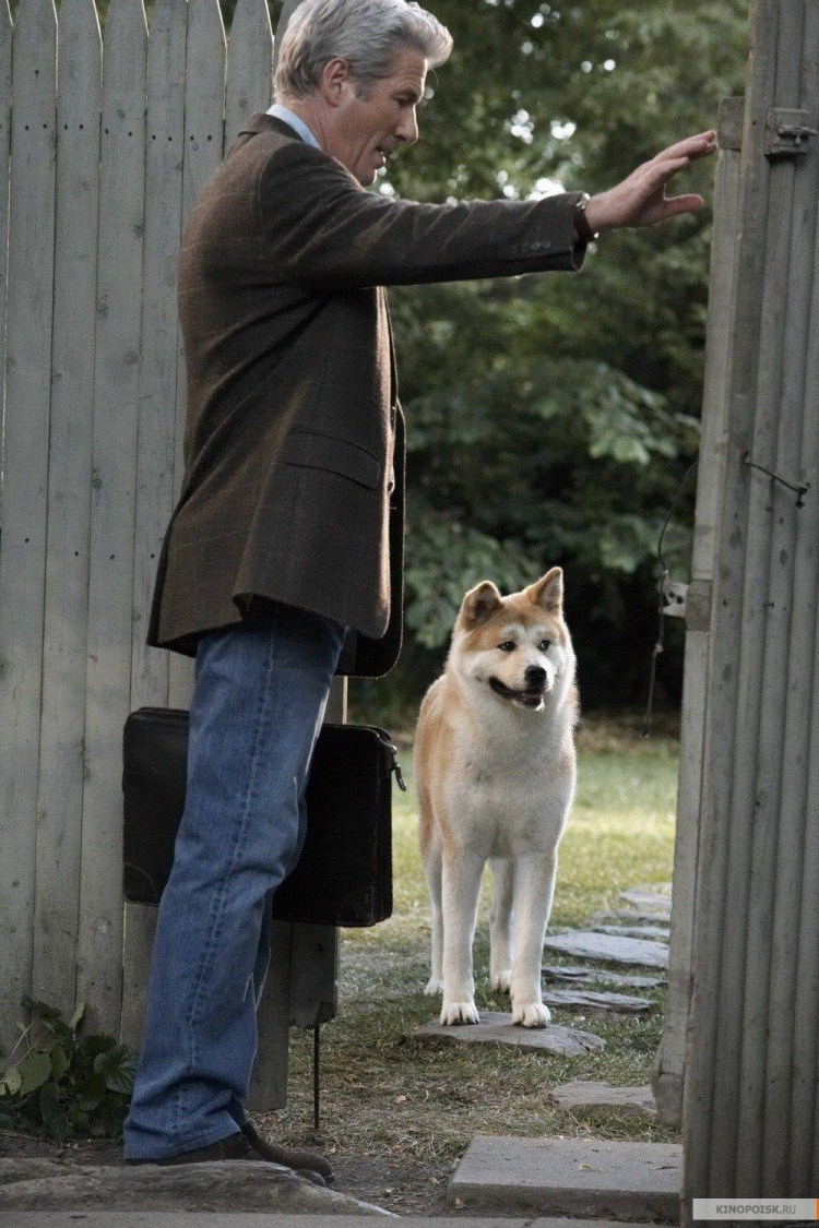 Хатико: самый верный друг фильм 2009