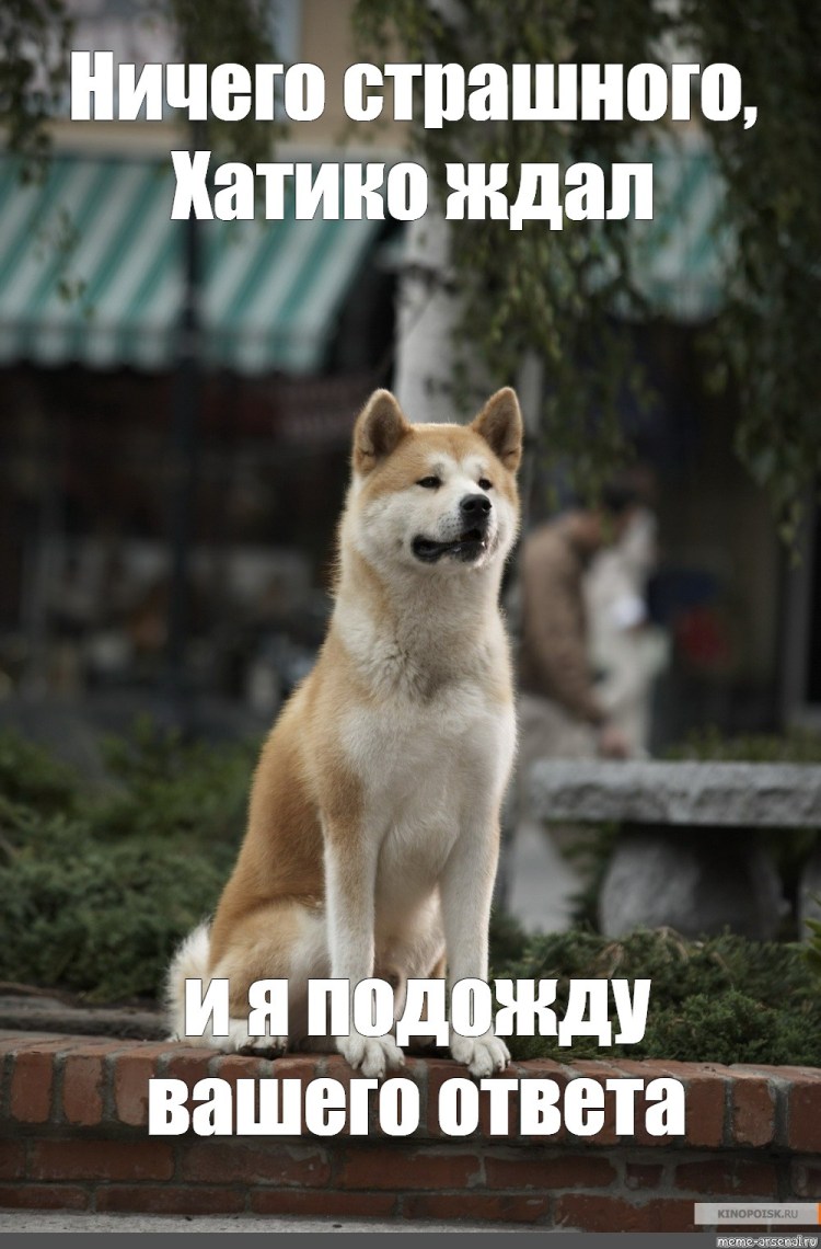 Памятник Хатико в Токио