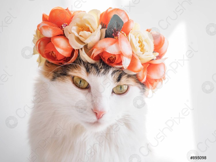 Котенок с цветочком