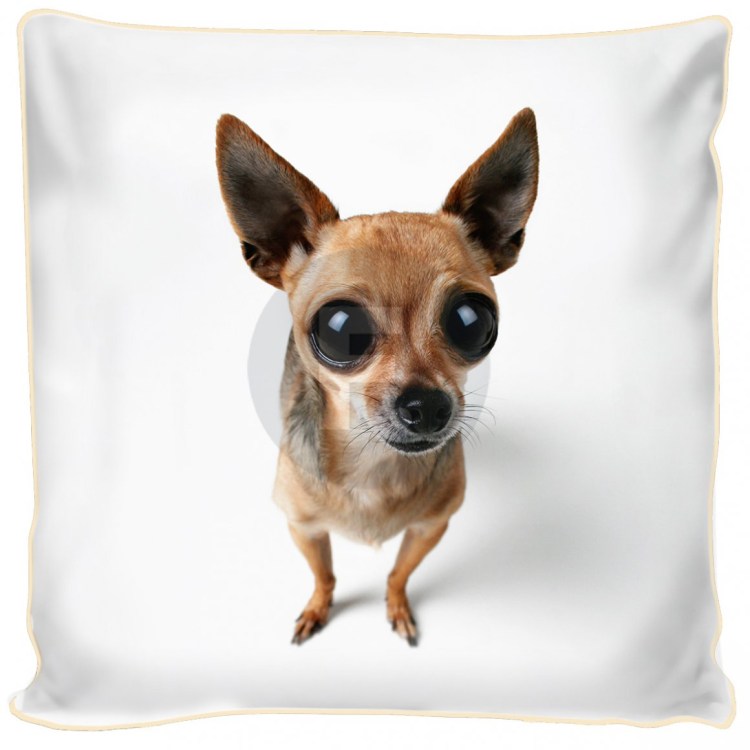 Японский Хин Хуа