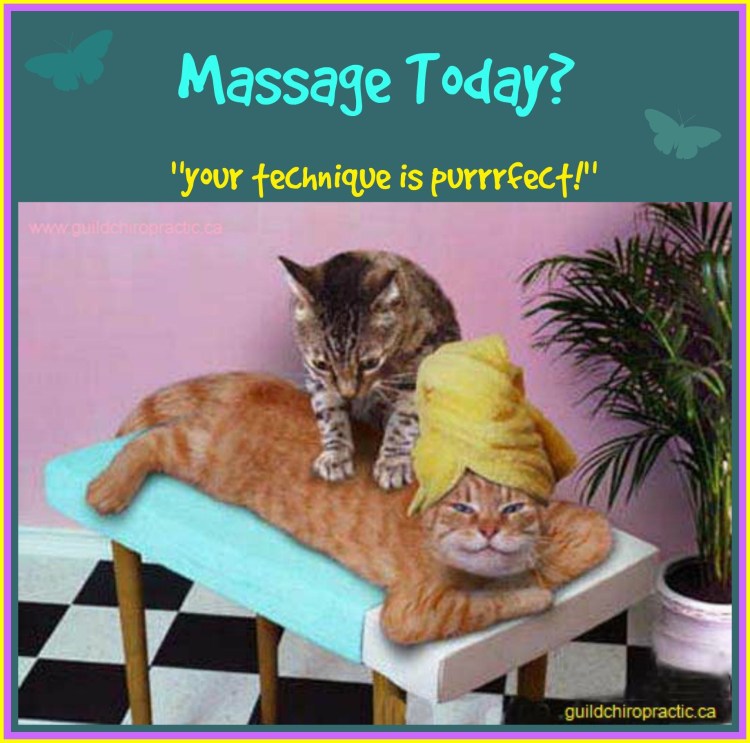 Кот балдеет от массажера головы