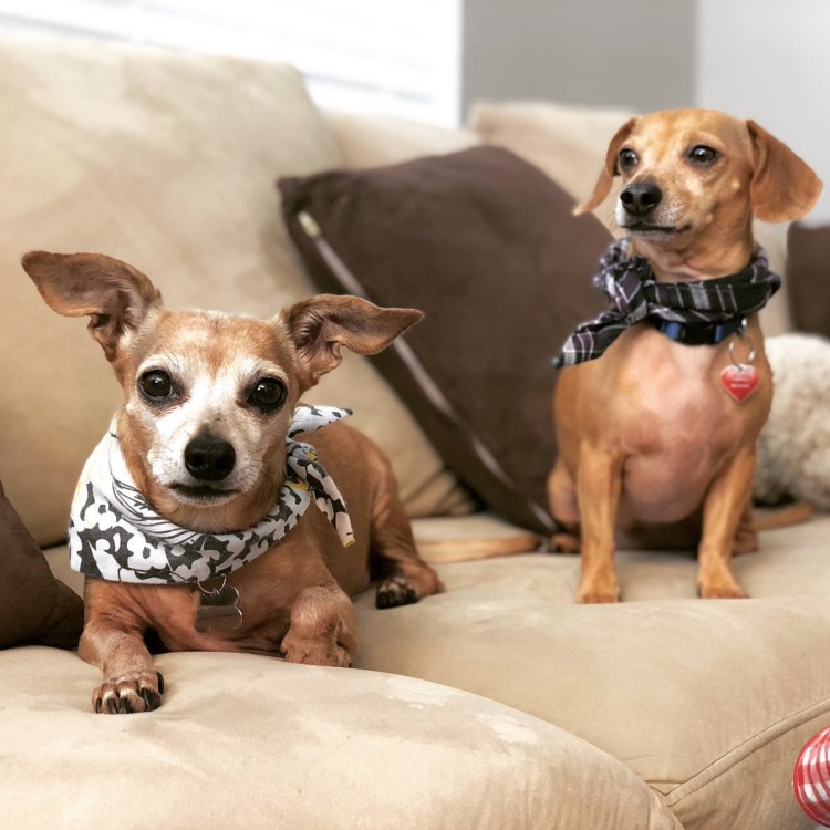 Чивини Туна