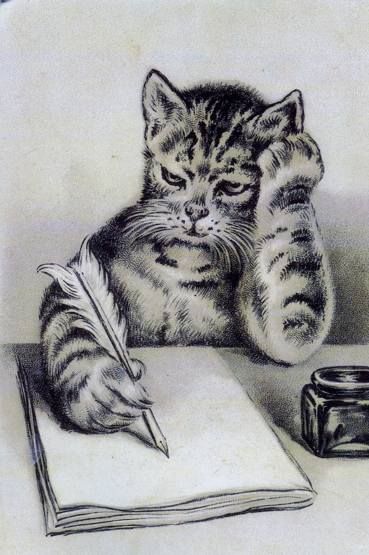 Кот пишет