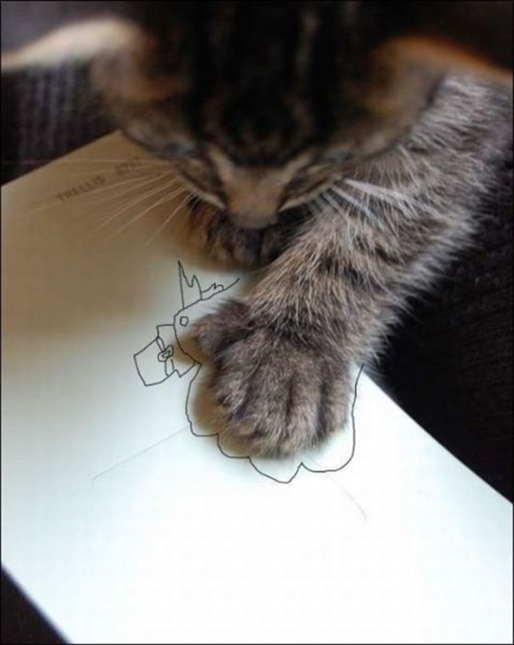 Кошка с телефоном