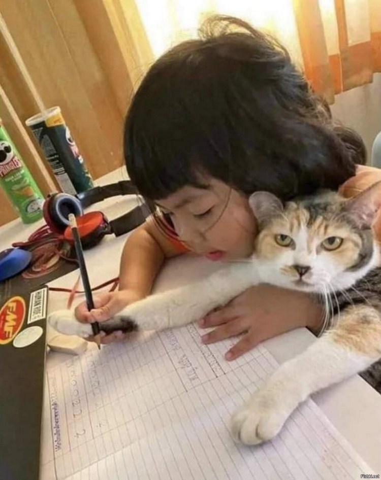 Девочка учит котов