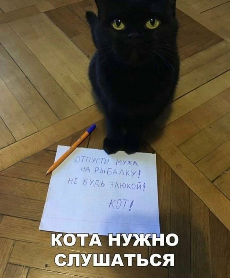 Иллюстратор Алексей Долотов