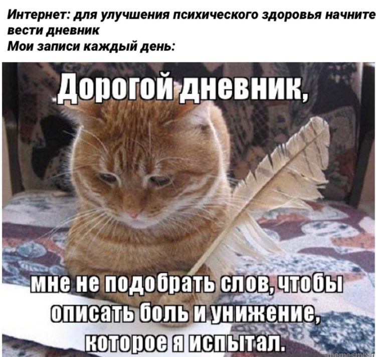 Кот в мундире