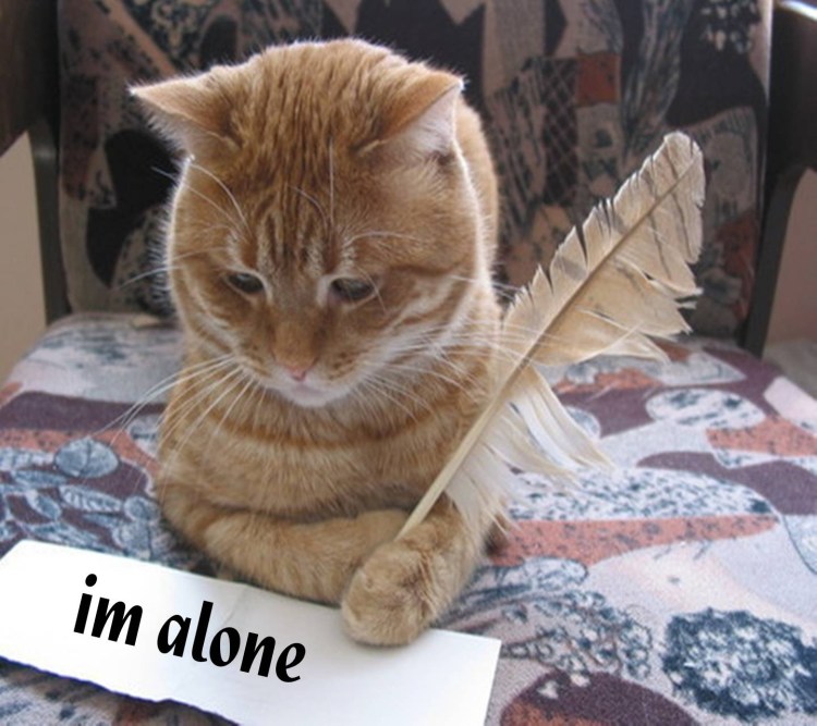 Котенок и компьютер