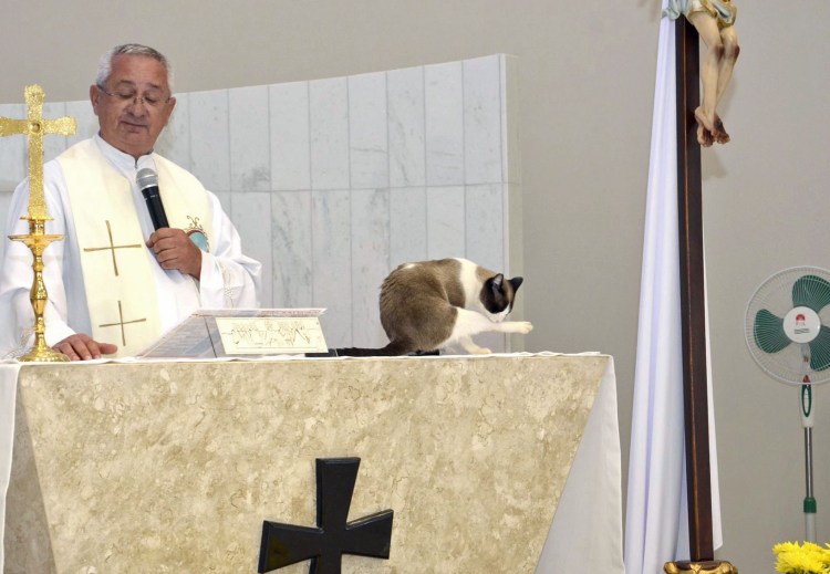 Кошка Бастет в древнем Египте