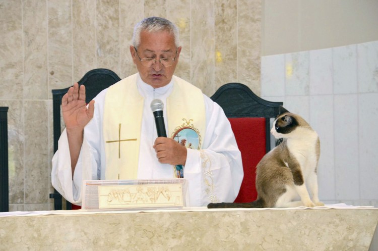 Египетская МАУ В древнем Египте