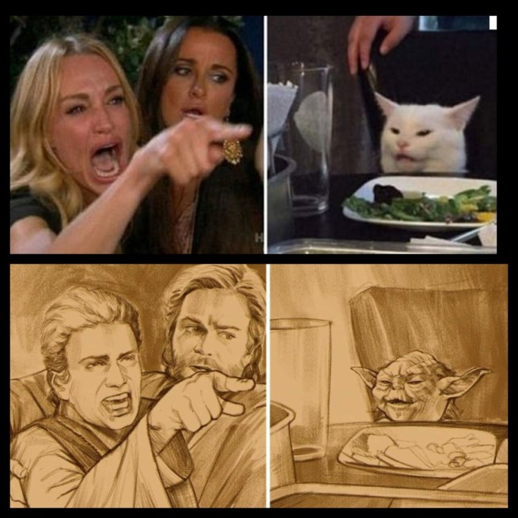 Мем с котом и девушками