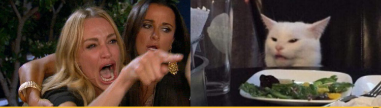 Мемы с котом за столом