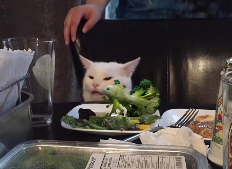 Кот за столом