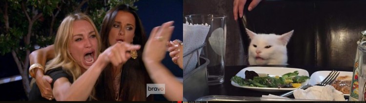 Мем с котом и девушками