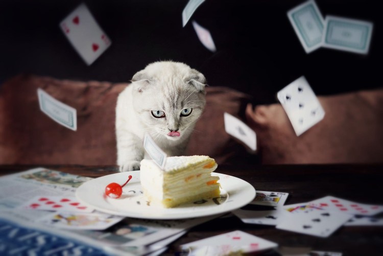 Финько Алексей