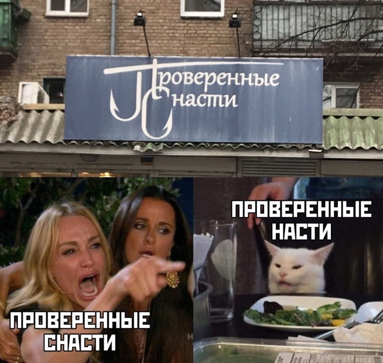 Фу пошлятина кот