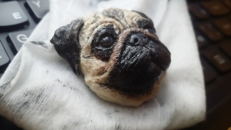 Чихуахуа тайский кобби