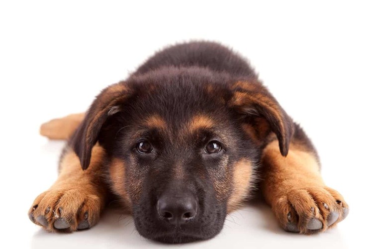 Коврик для мыши Defender 50706