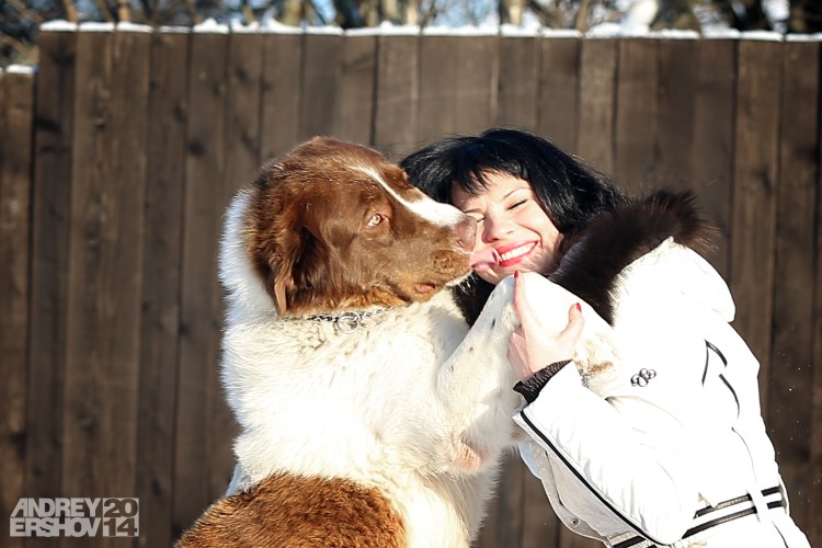 Каракачанская овчарка