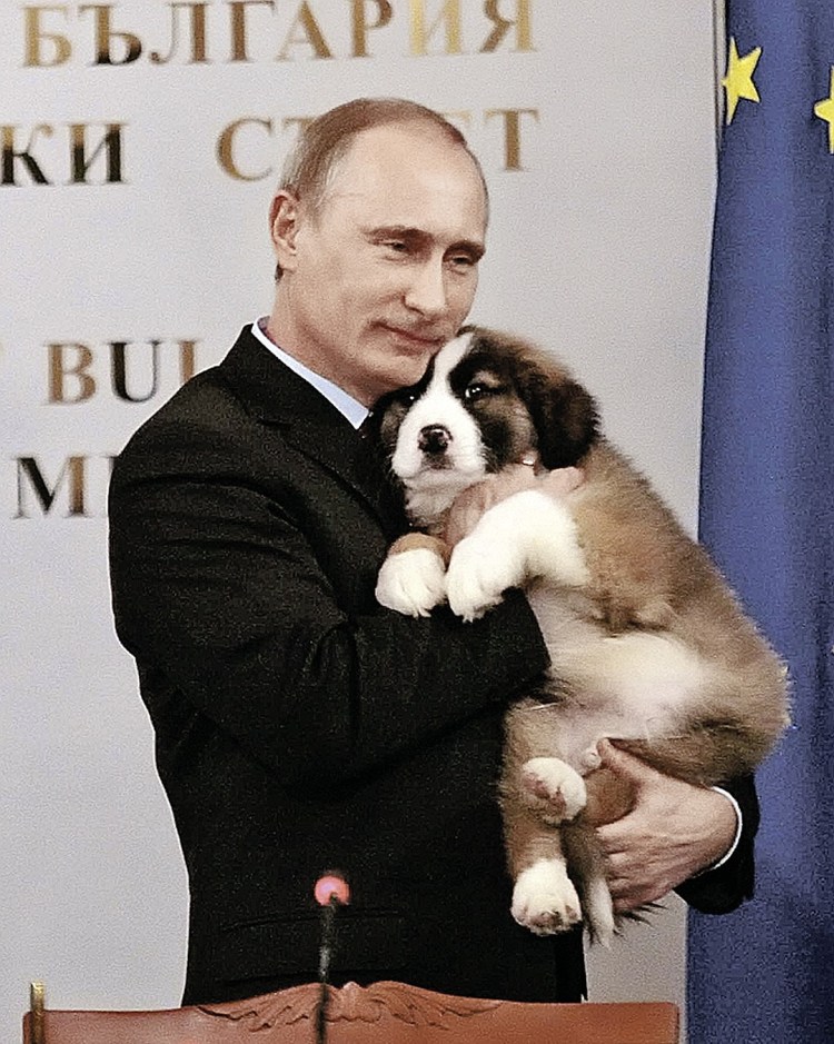 Собака Путина Баффи