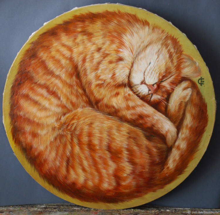 Рыжий кот клубочком
