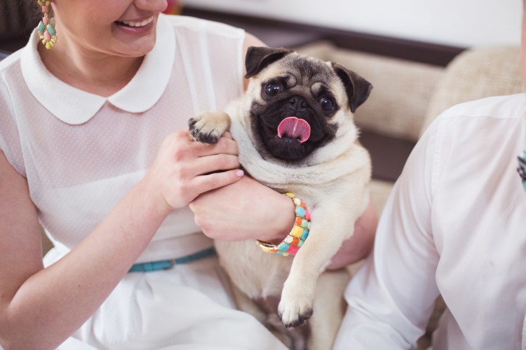 Девушка с мопсом